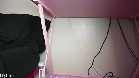 Snapshot of lilypixel chatting on 8, 2, 2025 Liliana Marie Pixelate online show from 8, 2, 2025