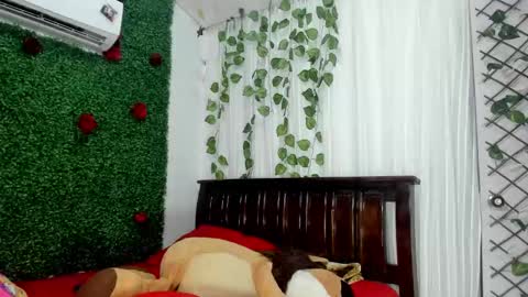 Snapshot of lina_paola chatting on 23, 12, 2024 paola online show from 23, 12, 2024