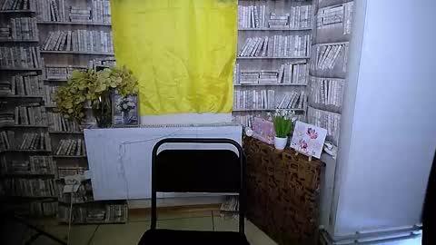 Lina online show from 4, 11, 2025