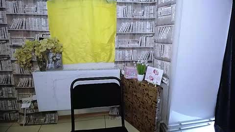 Lina online show from 13, 11, 2025