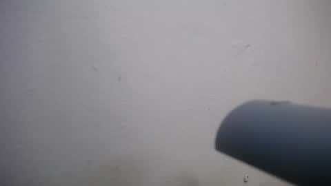 lisa_branch online show from 4, 11, 2025