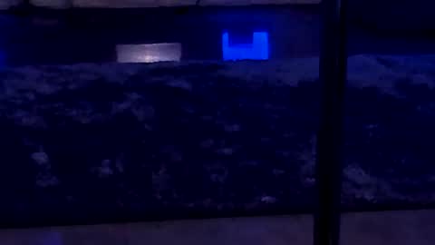 Snapshot of lisa_elfy chatting on 24, 1, 2025 lisa_elfy online show from 24, 1, 2025