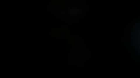 Lisa  online show from 23, 11, 2025