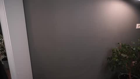 Snapshot of lisa_schiele chatting on 26, 11, 2025 Elisabeth or Lisa online show from 26, 11, 2025