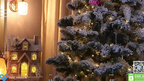 Snapshot of lissa_meooow chatting on 19, 1, 2025 your Liza again. Next stream Dec. 1 at 2 or 3 GMT online show from 19, 1, 2025