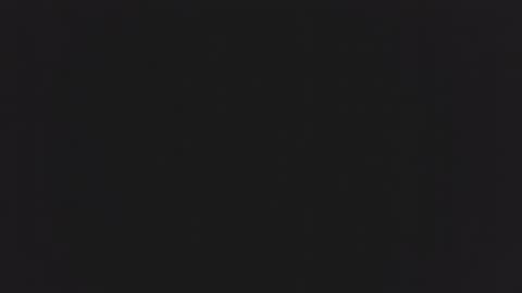 little_anef online show from 11, 12, 2024