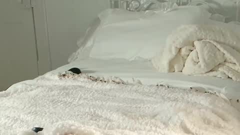 Audra A online show from 1, 2, 2025