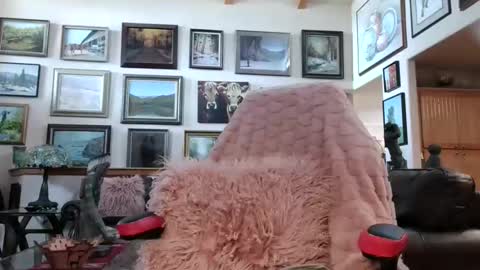 Miss D   Shows Mon Wed  Fri online show from 13, 4, 2026