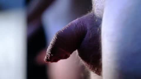 Snapshot of littlescrapper69 chatting on 9, 10, 2025 littlescrapper69 online show from 9, 10, 2025