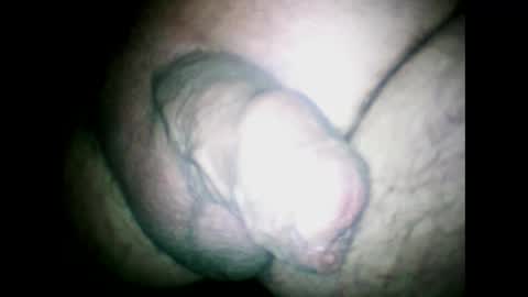 Snapshot of littlestick chatting on 4, 12, 2024 littlestick online show from 4, 12, 2024