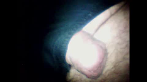 Snapshot of littlestick chatting on 20, 1, 2025 littlestick online show from 20, 1, 2025