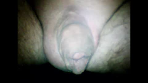 Snapshot of littlestick chatting on 29, 1, 2025 littlestick online show from 29, 1, 2025