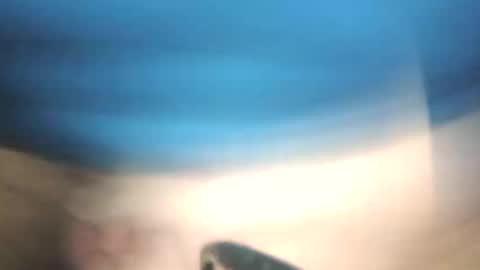 Snapshot of littlestick chatting on 12, 1, 2026 littlestick online show from 12, 1, 2026