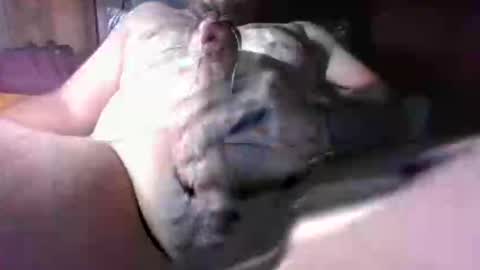 litwinpaweel online show from 2, 12, 2025