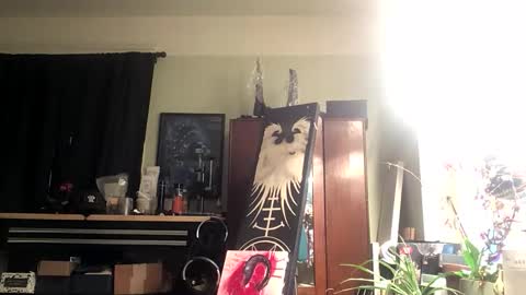 Liv Mirage online show from 11, 4, 2026