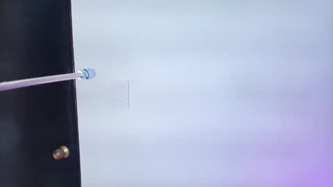 Lizz  online show from 6, 2, 2025