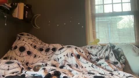 Snapshot of lizzyylovesick chatting on 5, 3, 2025 lizzybunny online show from 5, 3, 2025