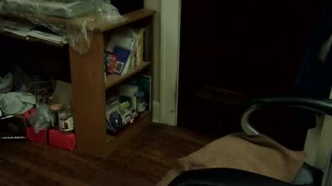 Snapshot of loades182025 chatting on 12, 11, 2025 loades182025 online show from 12, 11, 2025