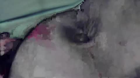 lofkok online show from 12, 3, 2025