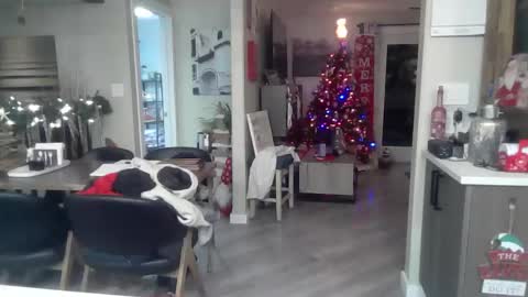 Snapshot of logan_rex_3 chatting on 7, 1, 2026 logan_rex_3 online show from 7, 1, 2026