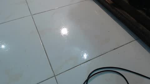 lola_foox online show from 12, 11, 2025