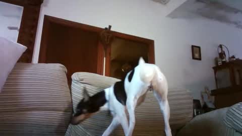 LOLA HUESO y ERIC online show from 15, 1, 2026