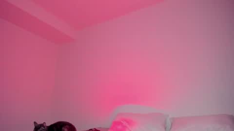 Lola online show from 17, 6, 2026