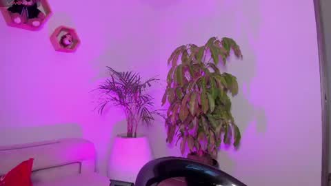 Lola online show from 6, 7, 2026