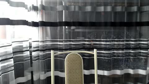 Snapshot of lollifox_1 chatting on 5, 10, 2025 Lisa online show from 5, 10, 2025