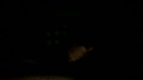 Handsome Cock online show from 14, 11, 2025