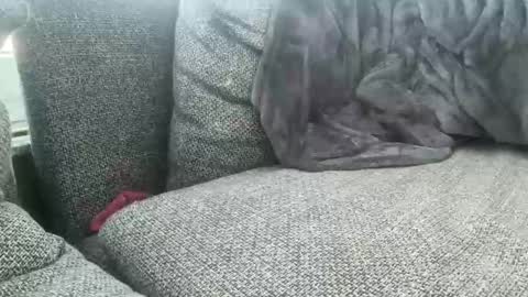 longjohnson94435702 online show from 2, 3, 2025