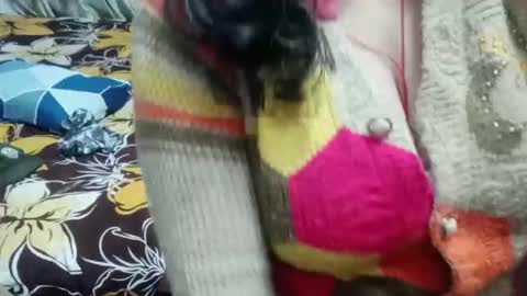 Shy Housewife online show from 16, 12, 2025