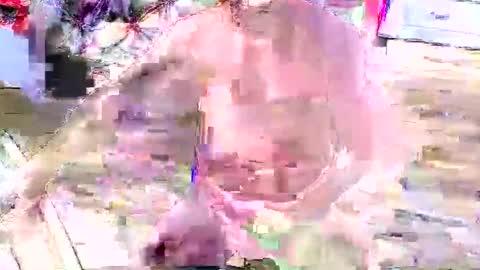 look4fun316 online show from 4, 11, 2025