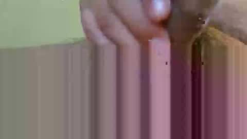 2791 3D online show from 12, 2, 2026