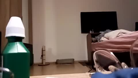 Snapshot of loraflame chatting on 4, 12, 2024 Lora online show from 4, 12, 2024