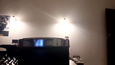 Snapshot of loraflame chatting on 29, 12, 2024 Lora online show from 29, 12, 2024