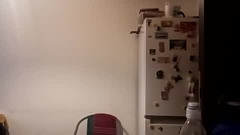 Snapshot of loraflame chatting on 31, 12, 2024 Lora online show from 31, 12, 2024