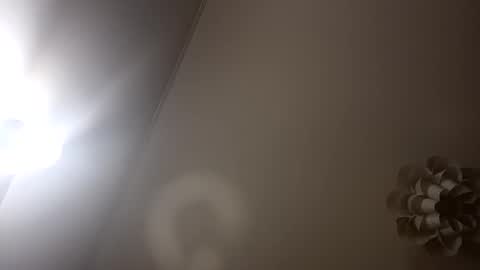 Snapshot of loraflame chatting on 5, 1, 2025 Lora online show from 5, 1, 2025