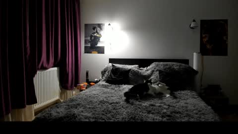 Snapshot of loraflame chatting on 8, 1, 2025 Lora online show from 8, 1, 2025