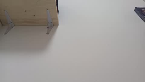 Snapshot of loraflame chatting on 10, 1, 2025 Lora online show from 10, 1, 2025