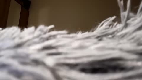 Snapshot of loraflame chatting on 15, 1, 2025 Lora online show from 15, 1, 2025