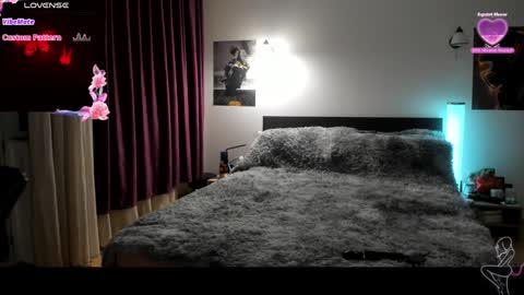 Snapshot of loraflame chatting on 29, 1, 2025 Lora online show from 29, 1, 2025