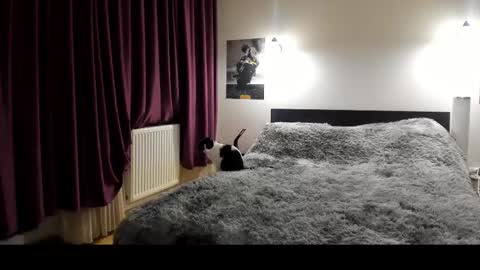 Snapshot of loraflame chatting on 21, 2, 2025 Lora online show from 21, 2, 2025