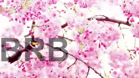 Lorraine online show from 9, 6, 2026