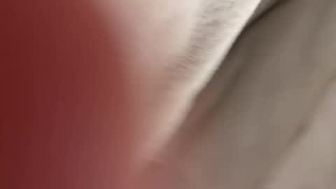 lost_surprise online show from 14, 4, 2026