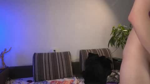 Snapshot of lovelydany3 chatting on 9, 11, 2025 lovelydany3 online show from 9, 11, 2025