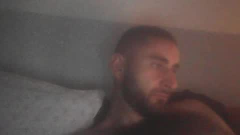 cocktribute online show from 26, 6, 2026