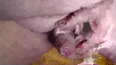 lover_troll online show from 16, 2, 2026