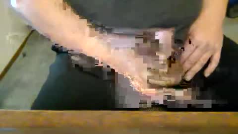 Lovers 3 online show from 25, 3, 2026