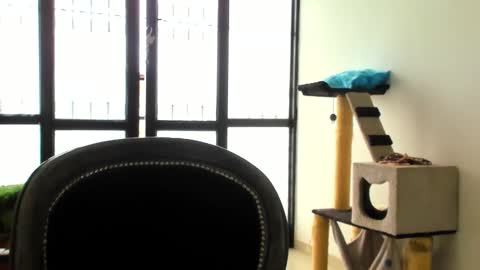 luara__01__lecat_1 online show from 24, 11, 2025